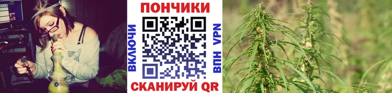 Шишки марихуана Ganja  Сенгилей 